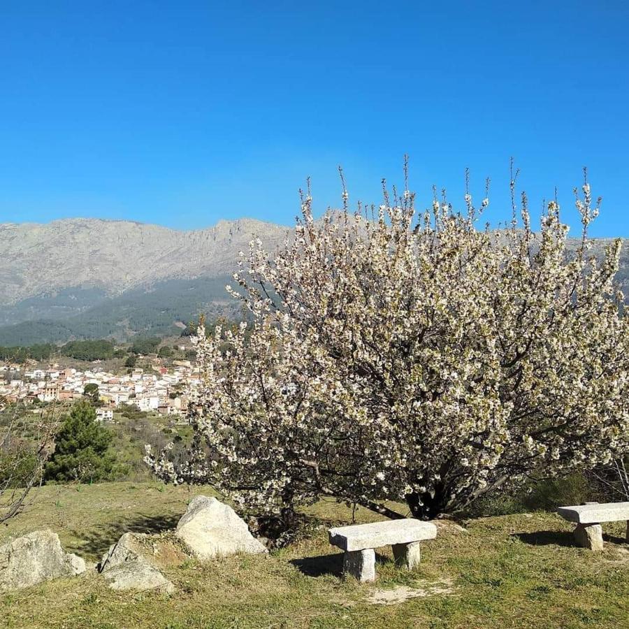 Hotel Rural Los Molinillos El Arenal  Eksteriør billede